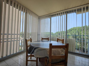 Appartement Argelès-sur-Mer, 2 pièces, 4 personnes - FR-1-309-231